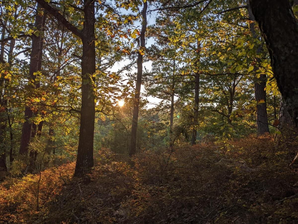 유레카 스프링스 Cabin #6 With Hot Tub Deck And Sunset View At Loblolly Pines 아파트 외부 사진